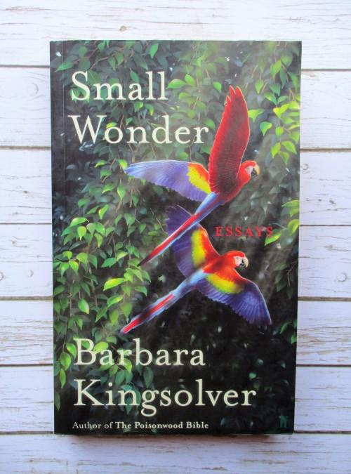 small wonder essay small wonder essay