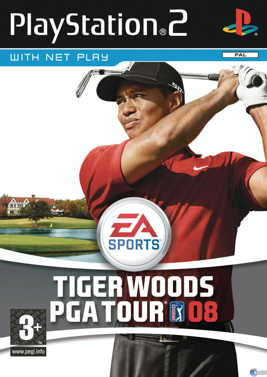 tiger woods pga tour 08 msstdfmt.dll tiger woods pga tour 08 msstdfmt.dll