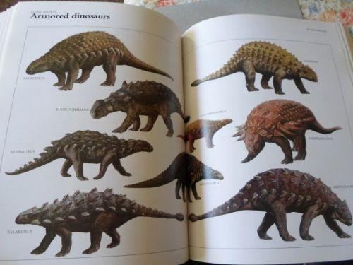 Natural Science The Macmillan Illustrated Encyclopedia