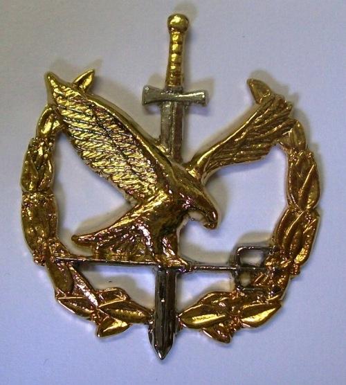 Other Badges & Insignia - SAP Special Task Force - Operator badge ...