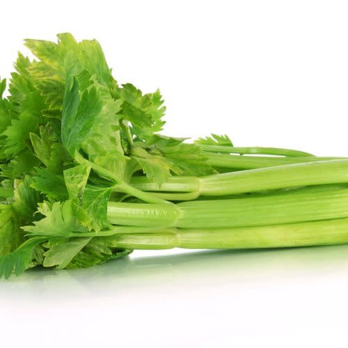 Celery - Apium graveolens '' - Celery Seeds
