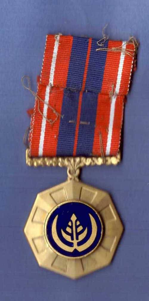 SADF & SANDF SADF The Pro Patria Medal South African military