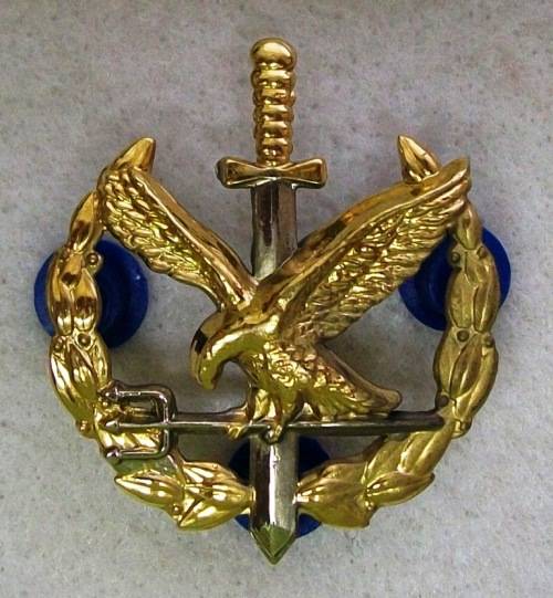 Emergency Services - SAPS Special Task Force - Operator badge - (new