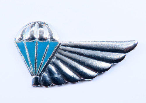 half wing military