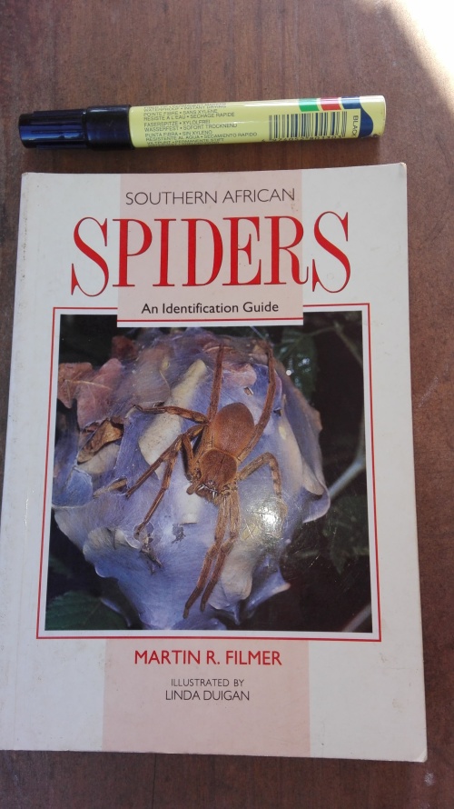 Natural Science Southern African Spiders An