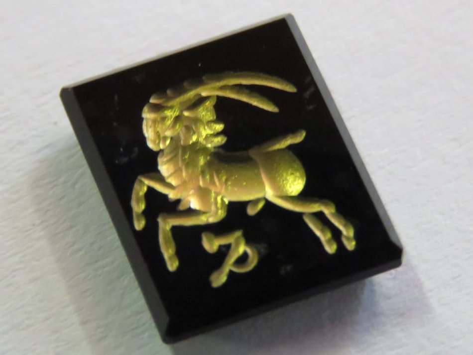 Onyx with Capricorn zodiac sign - 12mm x 10mm