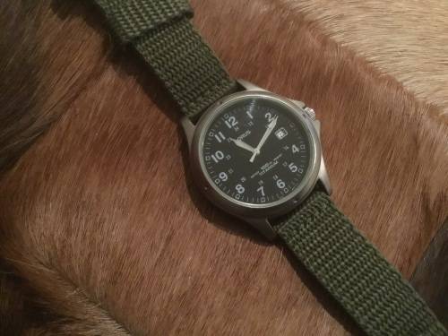 lorus titanium watch