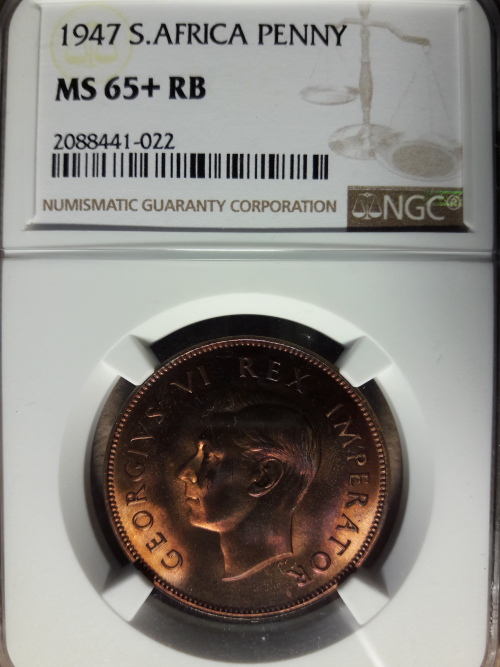 Penny - 1947 SA UNION PENNY NGC GRADED MS 65+ RB [ POP 1 STANDS ALONE ...