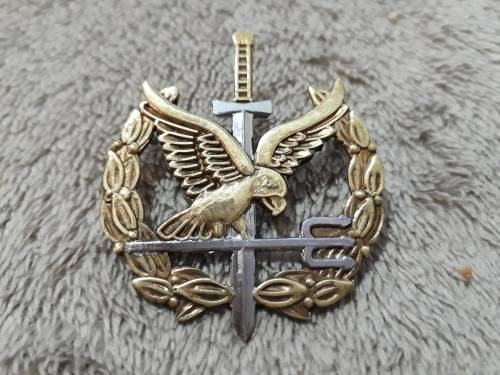 Emergency Services - SAP, SPECIAL TASK FORCE - OPERATOR BADGE (1st type