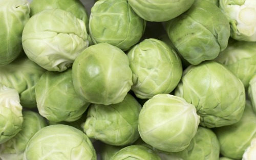 brussel sprout seeds
