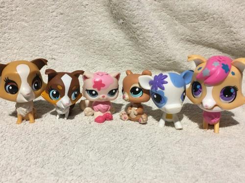 littlest pet shop 1094