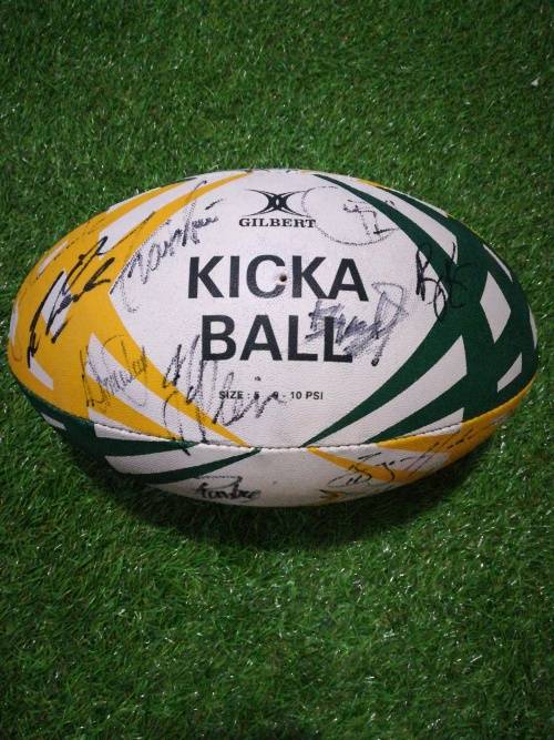 Sporting Memorabilia Springbok signed rugby ball RWC 2015 team was