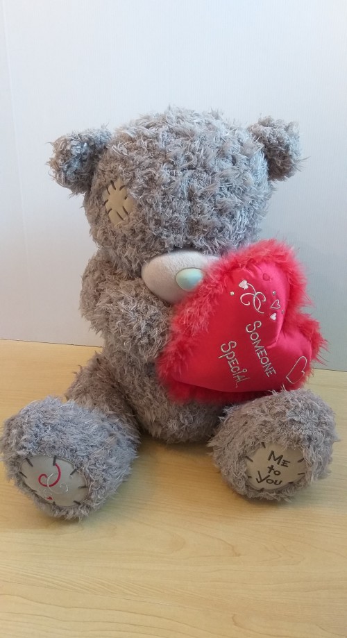 teddy bear for someone special