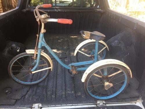 1950's triang tricycle