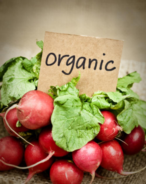 Eating Organic Food The Benefits Of Organic